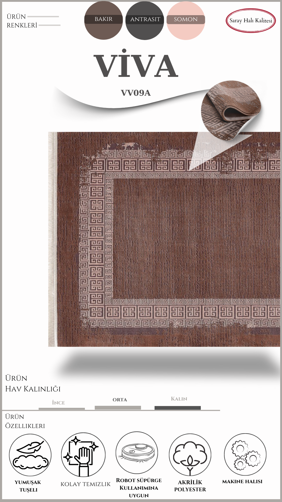 Modern ve Klasik Desenli Salon Halısı VIVA VV09A