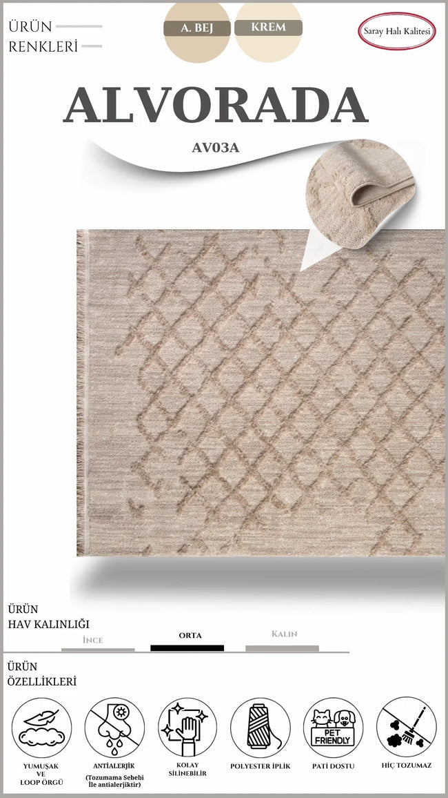 Decorative Hallway Carpet Alvorada AV03A