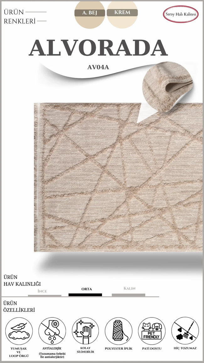 Decorative Hallway Carpet Alvorada AV04A