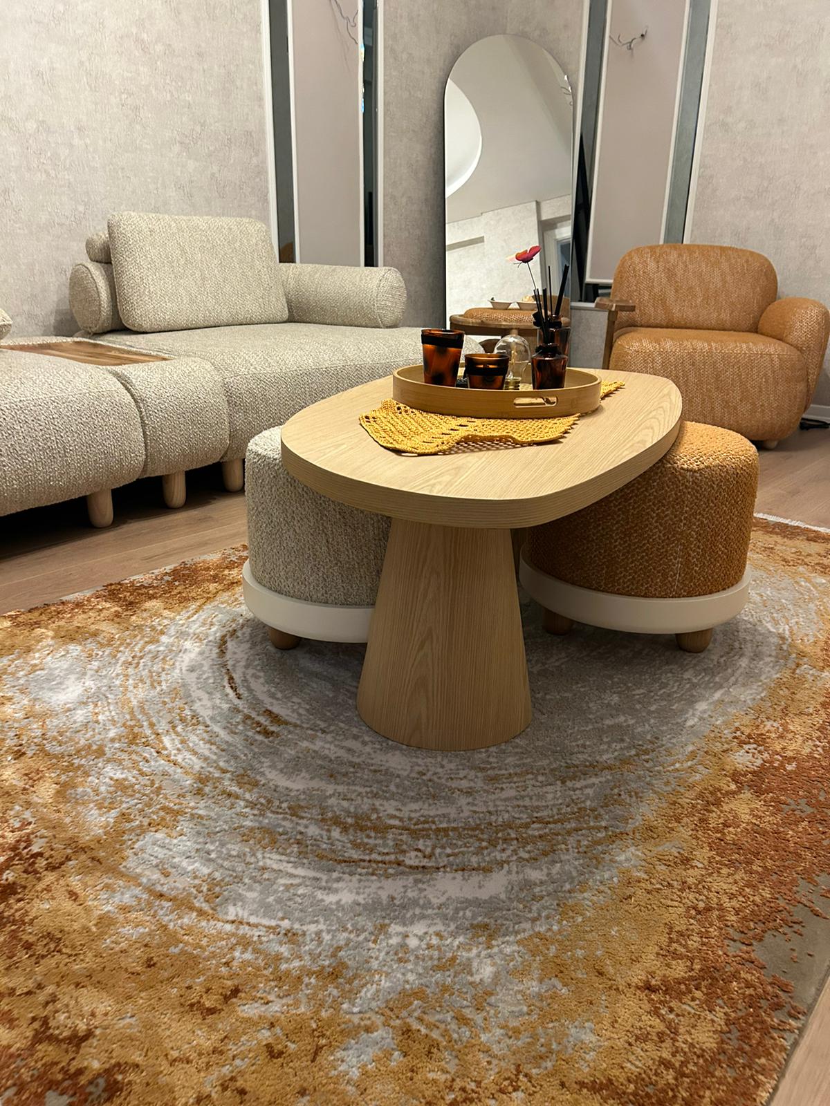 Modern ve Klasik Desenli Salon Halısı ROSADA RS04A