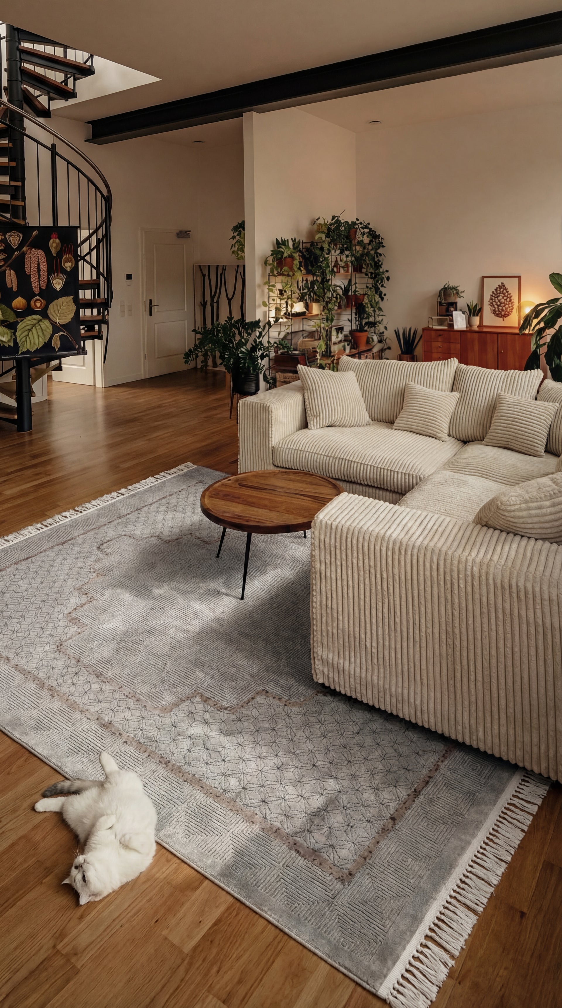 Modern ve Klasik Desenli Salon Halısı VIVA VV10A